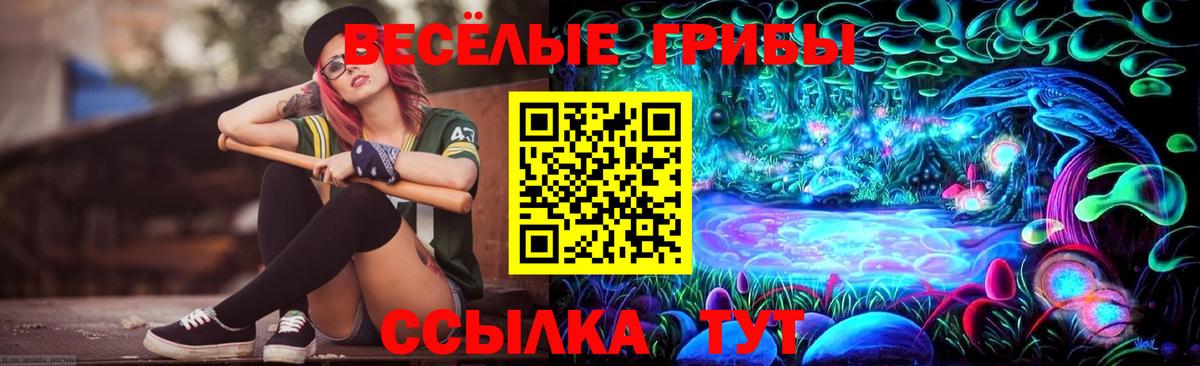 Галлюциногенные грибы мицелий Отрадный